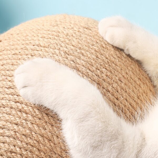 Cat's Small Rotating Scratcher - Image 6
